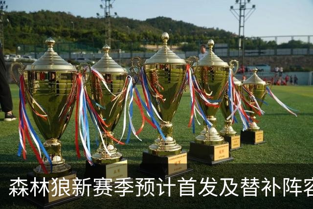 森林狼新赛季预计首发及替补阵容揭晓