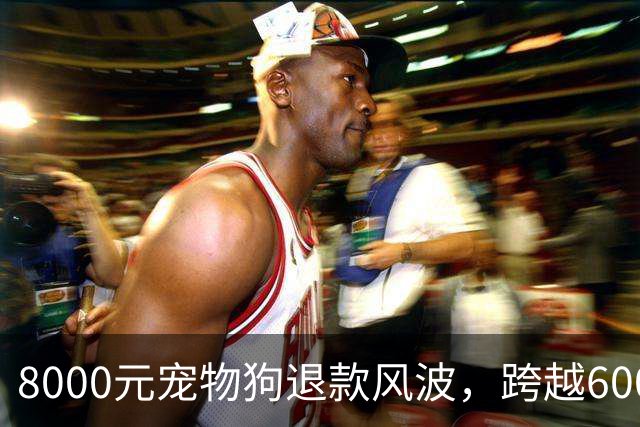 8000元宠物狗退款风波，跨越600公里寻犬的艰辛与无奈